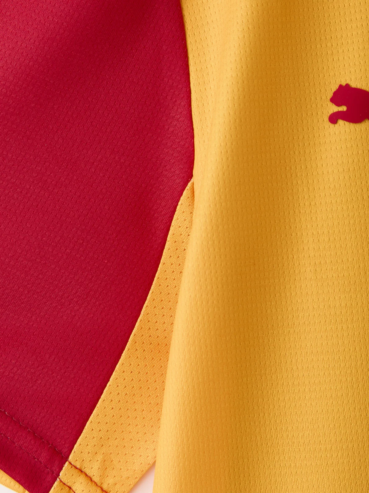 Galatasaray Puma 2026/2027 İç Saha Parçalı Forma - Görsel 5