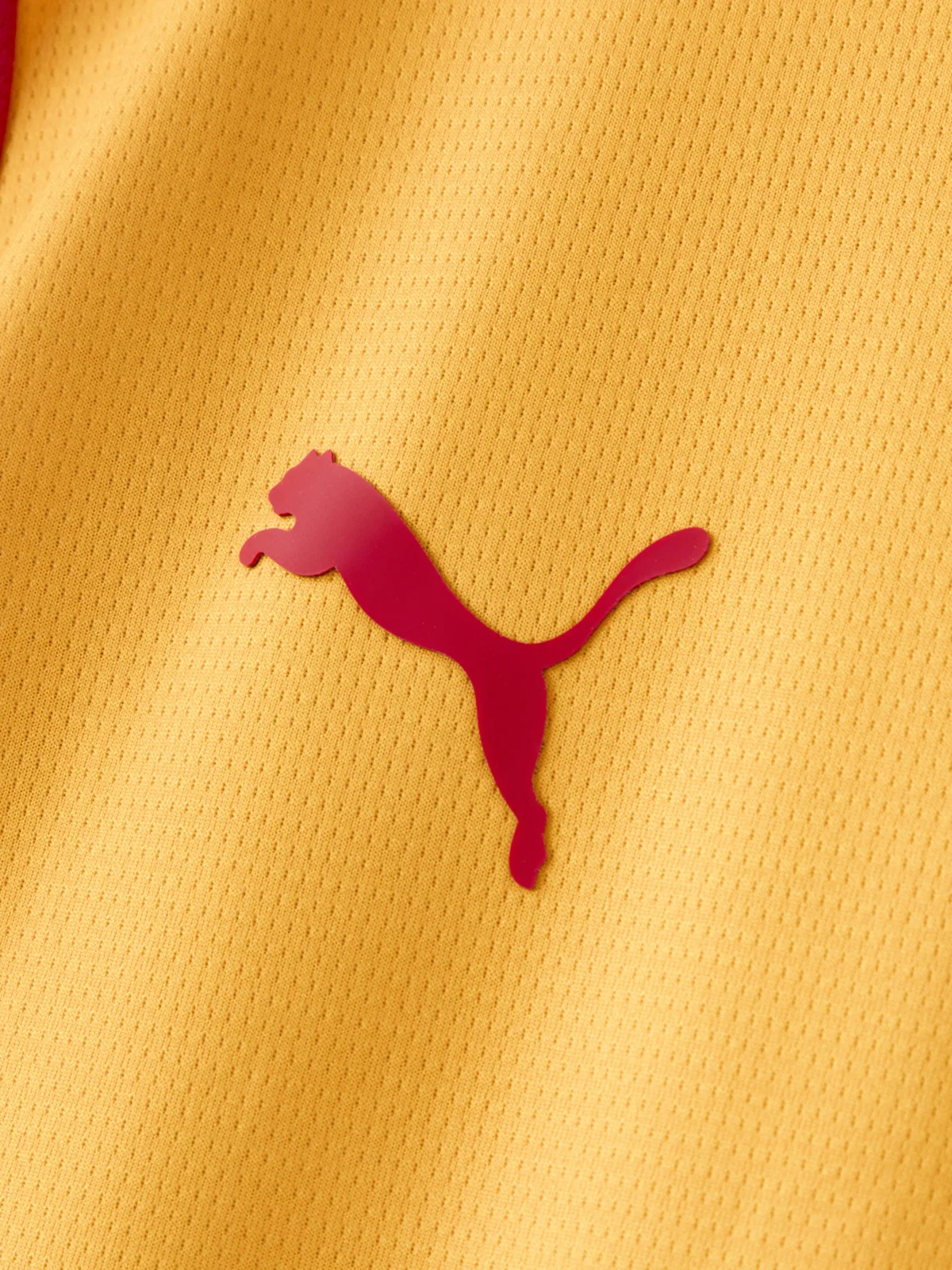 Galatasaray Puma 2026/2027 İç Saha Parçalı Forma - Görsel 4